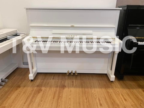 Bộ Sưu Tập Đàn Piano Upgright