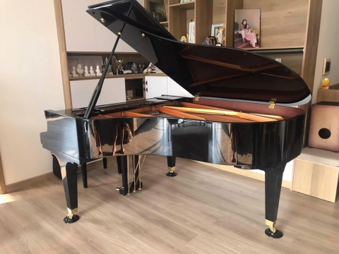 Hình Đẹp Tại Nhà