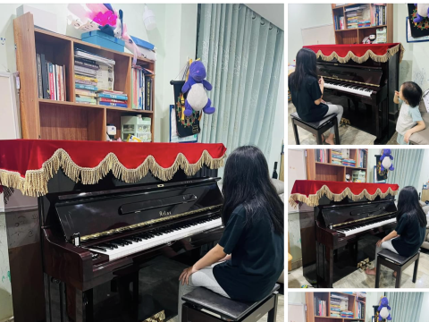 Bộ Sưu Tập Nhà Khách 