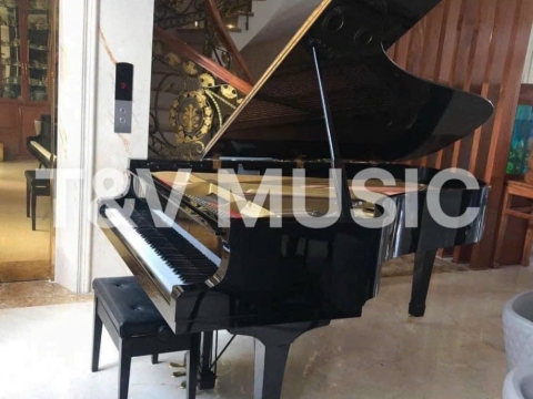 Bộ Sưu Tập Grand-T&V MUSIC 