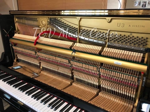 Hình Ảnh Bàn Giao Đàn