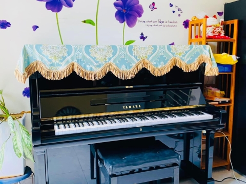 Bộ Sưu Tập Nhà Khách 