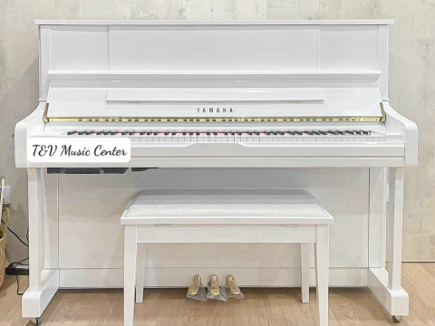 Màu Trắng Tinh Khôi