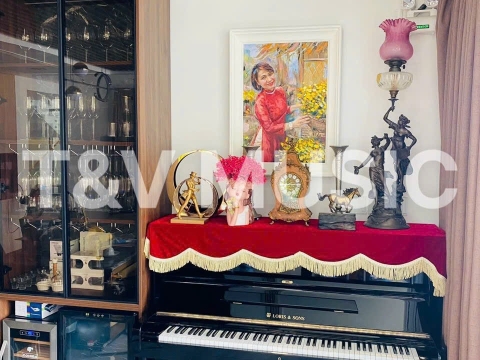 Bộ Sưu Tập Đàn Piano Upgright