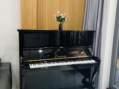 Bộ Sưu Tập Nhà Khách 