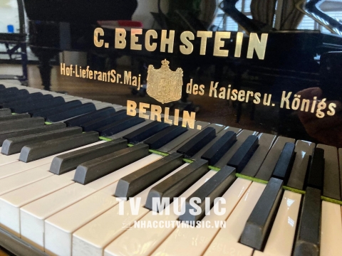 Bộ Sưu Tập Đàn Piano Upgright