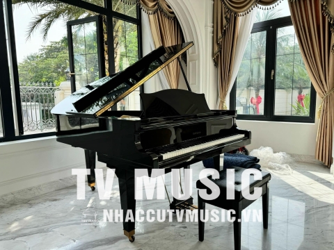 Bộ Sưu Tập Nhà Khách 