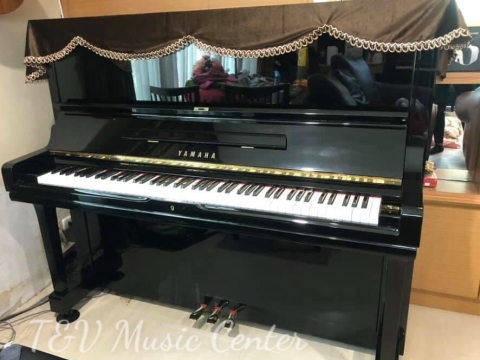 Hình Ảnh Bàn Giao Đàn