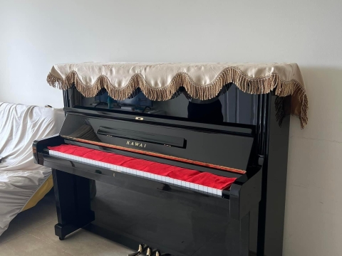 Bộ Sưu Tập Nhà Khách 