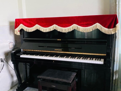 Bộ Sưu Tập Nhà Khách 