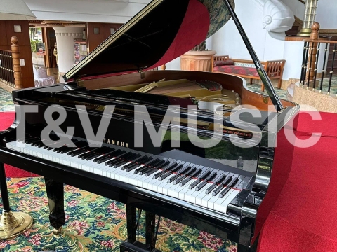 Bộ Sưu Tập Đàn Piano Upgright