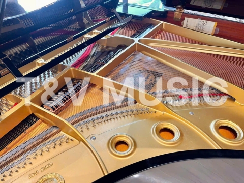 Bộ Sưu Tập Nhà Khách 