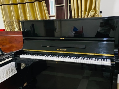 Bộ Sưu Tập Nhà Khách 