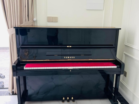 Bộ Sưu Tập Nhà Khách 