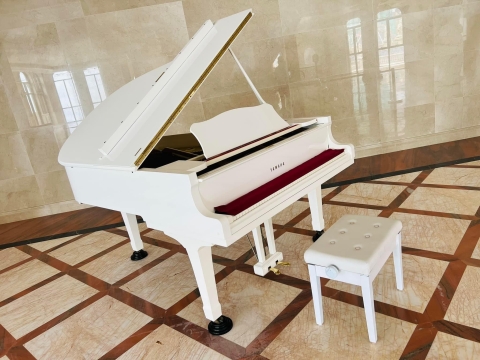 Bộ Sưu Tập Nhà Khách 