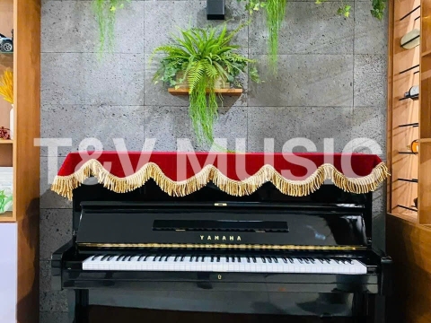 Bộ Sưu Tập Đàn Piano Upgright