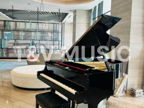 Bộ Sưu Tập Grand-T&V MUSIC 