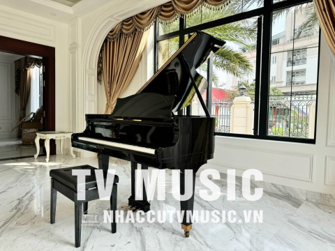 Bộ Sưu Tập Nhà Khách 