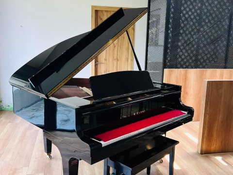 Bộ Sưu Tập Nhà Khách 