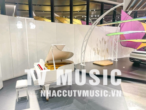 Bộ Sưu Tập Đàn Piano Upgright