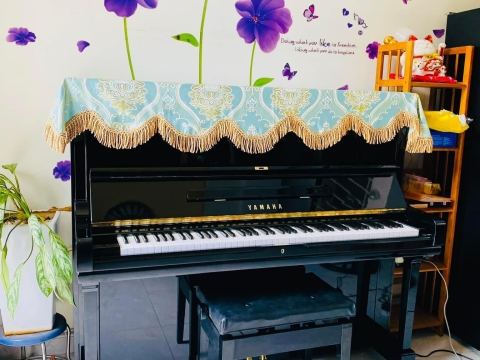 Bộ Sưu Tập Nhà Khách 