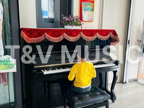 Bộ Sưu Tập Đàn Piano Upgright