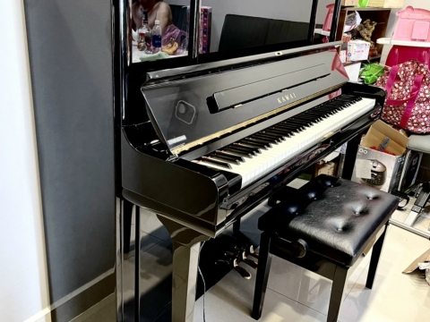 Hình Ảnh Bàn Giao Đàn