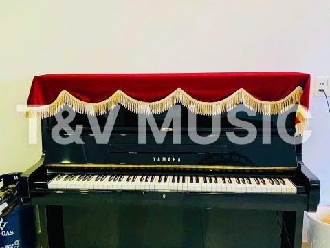 Bộ Sưu Tập Đàn Piano Upgright