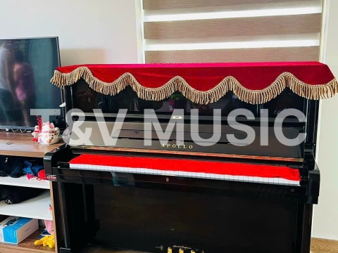 Bộ Sưu Tập Đàn Piano Upgright
