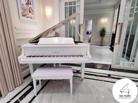 Màu Trắng Tinh Khôi