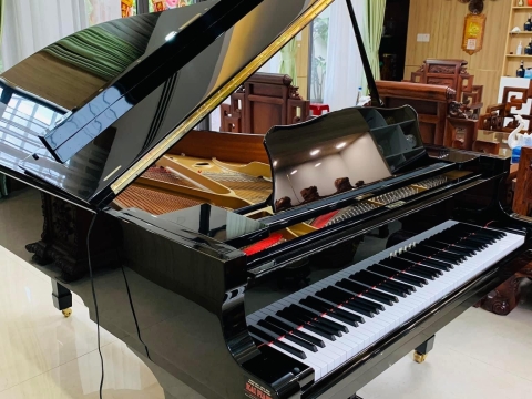 Bộ Sưu Tập Nhà Khách 