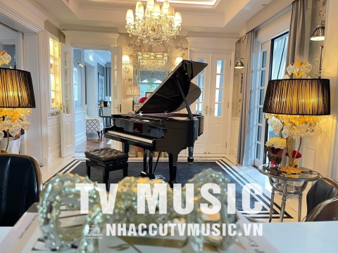 Bộ Sưu Tập Đàn Piano Upgright