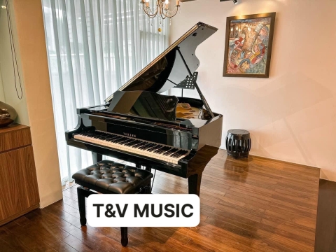 Bộ Sưu Tập Đàn Piano Upgright