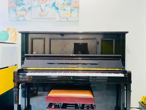 Bộ Sưu Tập Nhà Khách 