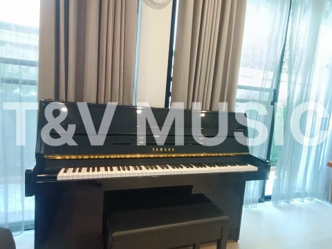 Hình Ảnh Bàn Giao Đàn