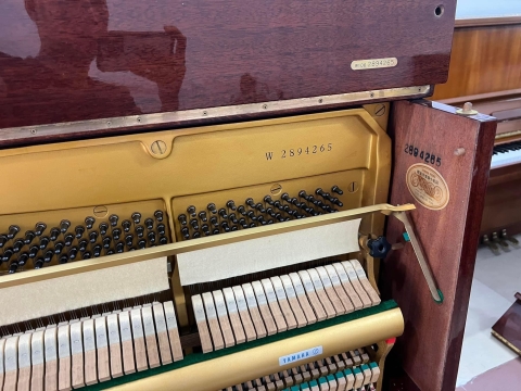 Bộ Sưu Tập Nhà Khách 