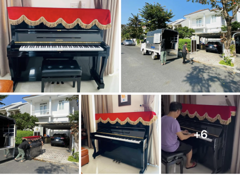 Bộ Sưu Tập Nhà Khách 