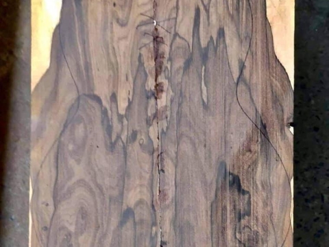 Bộ Sưu Tập Gỗ Độc Quyền Tại T&V Music Center