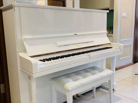 Màu Trắng Tinh Khôi