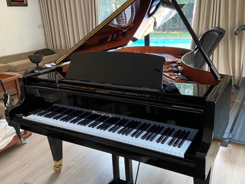 Bösendorfer Model 290 SR 41268-8007