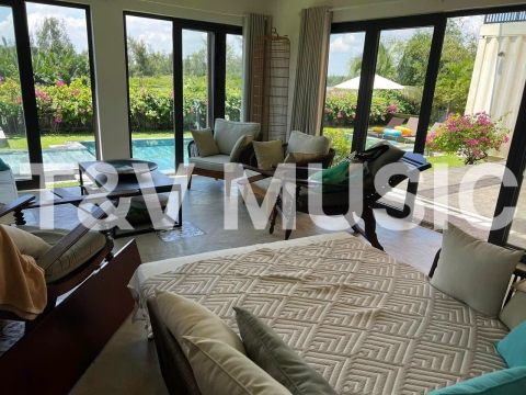 Bộ Sưu Tập Đàn Piano Upgright