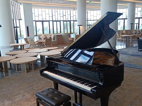 Grand Piano Tại Nhà Hàng