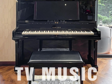 Bộ Sưu Tập Đàn Piano Upgright
