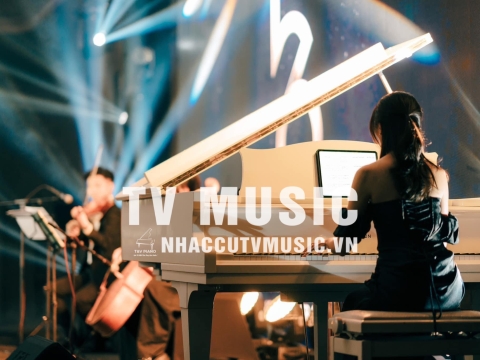 Bộ Sưu Tập Đàn Piano Upgright