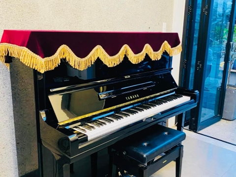 Bộ Sưu Tập Nhà Khách 