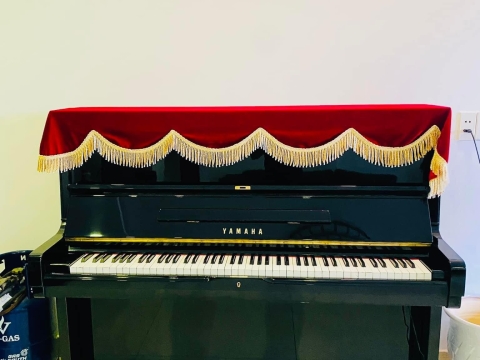 Bộ Sưu Tập Nhà Khách 