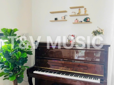 Bộ Sưu Tập Đàn Piano Upgright