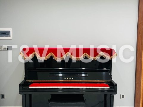 Bộ Sưu Tập Đàn Piano Upgright