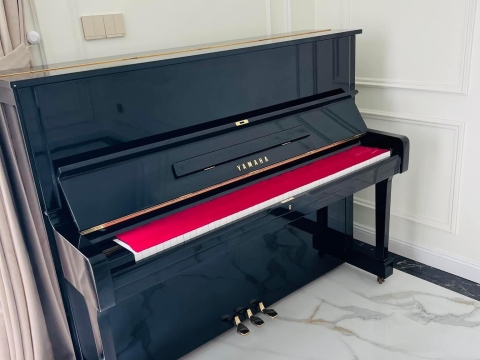 Bộ Sưu Tập Nhà Khách 