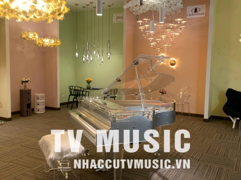 Bộ Sưu Tập Đàn Piano Upgright